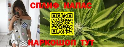 амф Лесосибирск