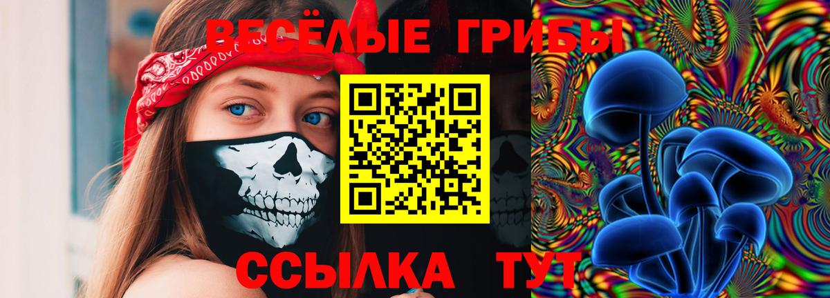 Галлюциногенные грибы Magic Shrooms  Псилоцибиновые грибы Psilocybe  Губаха  Вход с VPN 