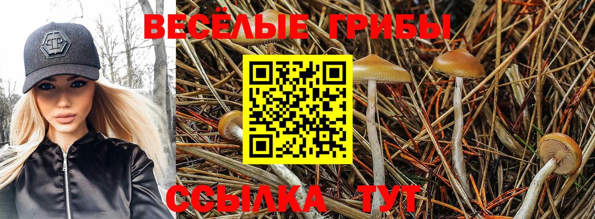 Галлюциногенные грибы GOLDEN TEACHER Губаха